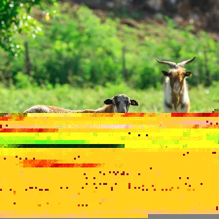 Kasprusie 39 Appartement Zakopane